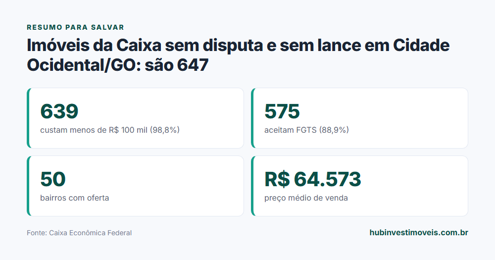 Cartão-resumo com os principais números do levantamento