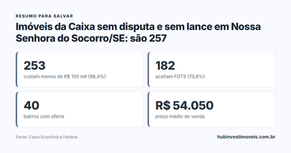 Cartão-resumo com os principais números do levantamento